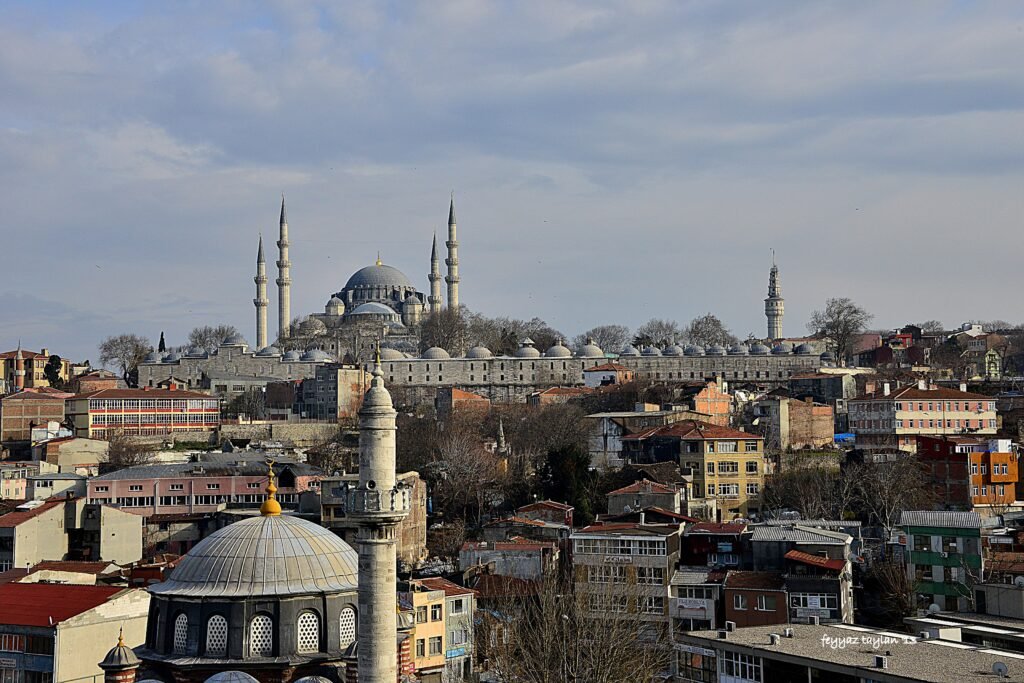 classic istanbul highlights shore excursion Panoramic view of the Historic Peninsula